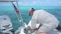 Pulling one from the livewell